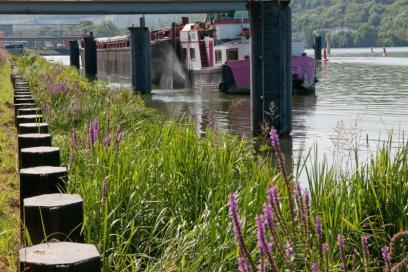 Berges fluviales - Agrandir l'image, fenêtre modale